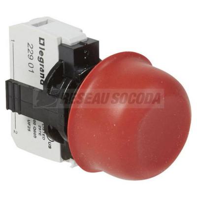  ACS COMPO NL IMP AF RG CAP+NF 