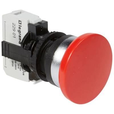  ACS COMPO NL IMP D40 RG + NF 
