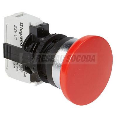  ACS COMPO NL IMP D40 RG + NF 