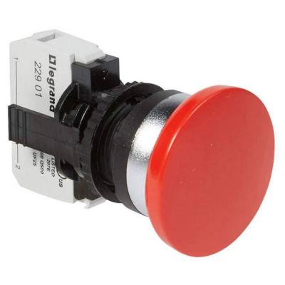  ACS COMPO NL IMP D40 RG + NF 