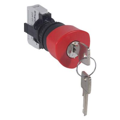  ACS COMPO NL CLE D40 RG + NF 