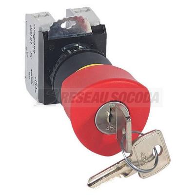  ACS COMPO NL CLE D40 RG+1NO1NF 