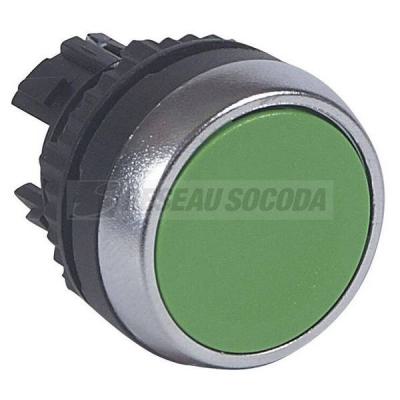  ACS TETE P-POUS AFF VERT 