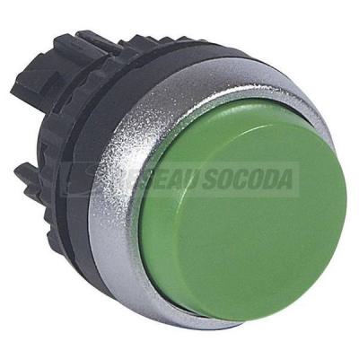  ACS TETE P-POUS DEP VERT 