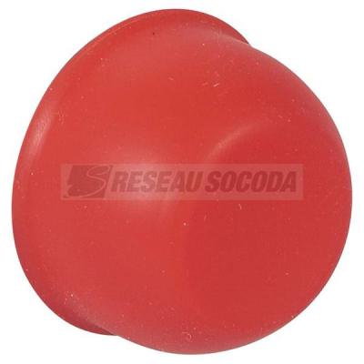  CAPUCHON ROUGE 