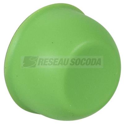 CAPUCHON VERT 