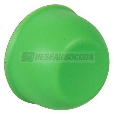  CAPUCHON VERT 