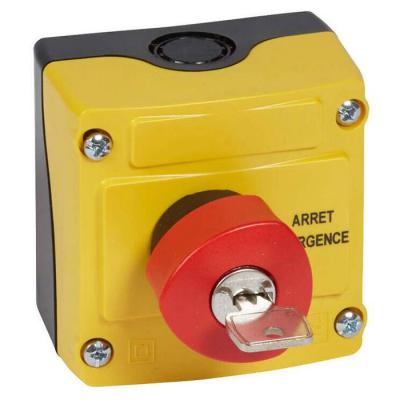  BOITIER CDP CLE D40 RG FR 1NF 
