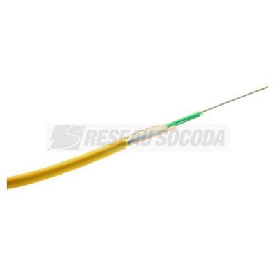  CABLE 12 FIBRES OS2 INT/EXT 