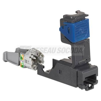  CONNECTEURS(X6)RJ45 CAT 6 UTP 