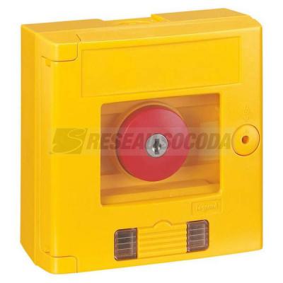  COFFRET JAUNE CDP CLE VOYANT 