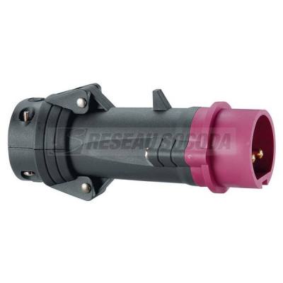  FICH D 16A 2P 20/25V PLAST 44 