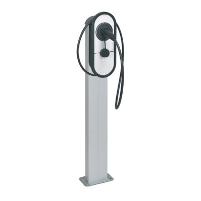  PIED ONE + CONTROL LIGHT 