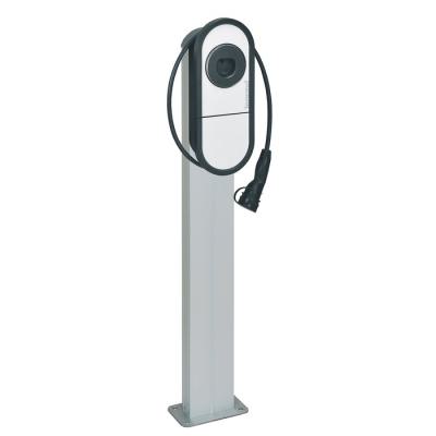  PIED ONE + CONTROL LIGHT 