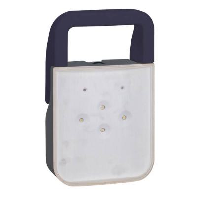  BAPI LEDS IP55 IK08 CONNECTE 
