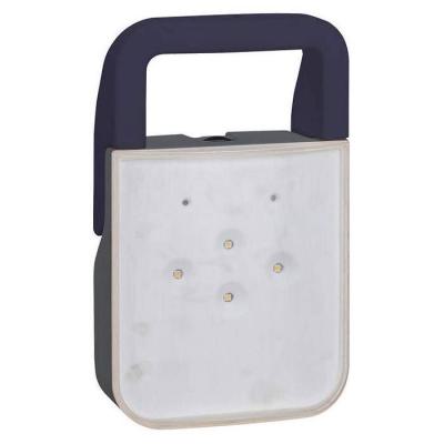  BAPI LEDS IP55 IK08 CONNECTE 
