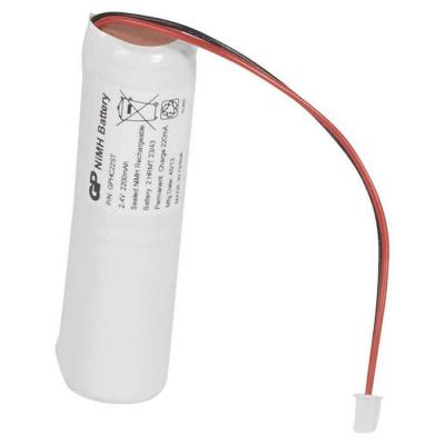  BATT BAES EVAC LEDS ECO2 IP66 