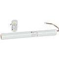  BATT BAES AMB LEDS ECO2 IP66 
