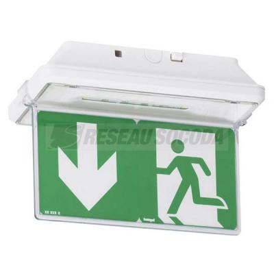  PLAQUE EVAC BLOCS IP43 