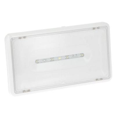  LSC EVAC LEDS IP43 24VDC 