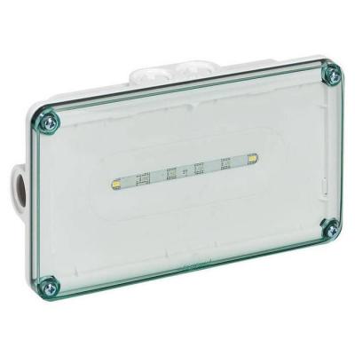 LSC EVAC LEDS IP66 24VDC 