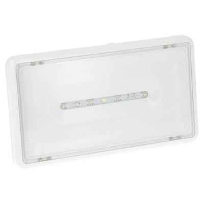  LSC EVAC LED IP43 48VDC230VAC 
