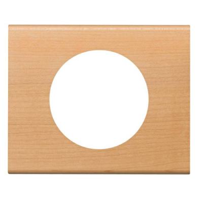  PLAQUE 1P ERABLE             ! 