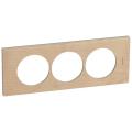  PLAQUE 2P 57MM ERABLE        ! 