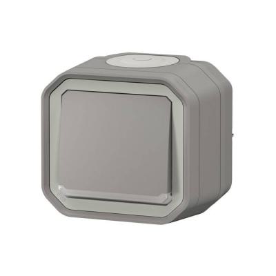  VV 10AX TEMOIN GRIS SAILLIE 