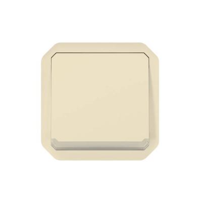  POUSSOIR INV LUM BEIGE COMPO 