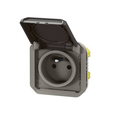  2P+T F/B ANTH COMPO 