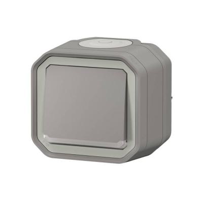 VV 10A TEMOIN GRIS SAILLIE 