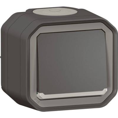 POUSSOIR NO LUM GRIS SAILLIE 