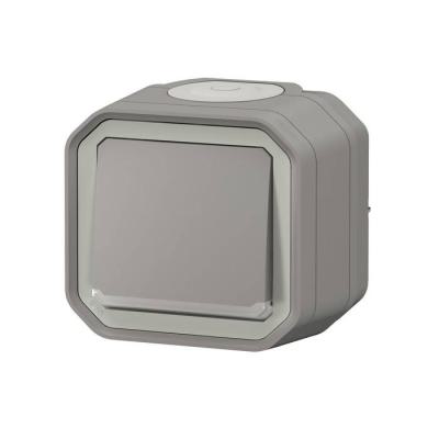  POUSSOIR NO LUM GRIS SAILLIE 