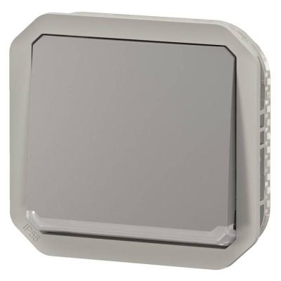  VV 10A TEMOIN GRIS COMPO 