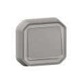  VV 10A TEMOIN GRIS ENC 