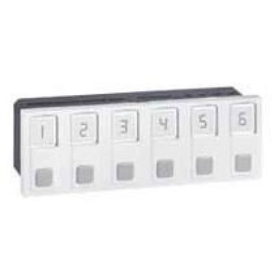  PRMOSAIC AFF APPEL INFIR 6 DIR 