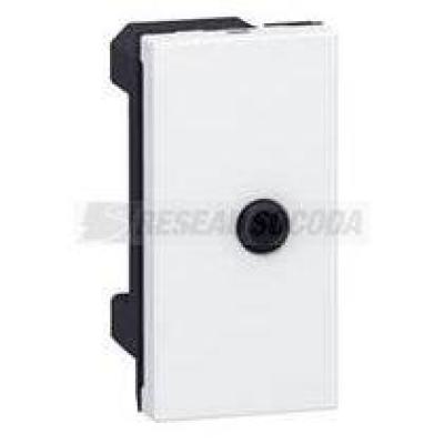  PRMOSAIC PRISE JACK 3,6 