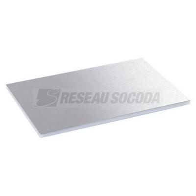  PLAQUE SS BTE STD 12/18M 