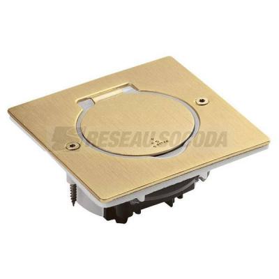  PLATINE SOL CARRE DORE BROSSE 