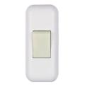  INTER BIP 2A 250V BLANC LUM. ! 