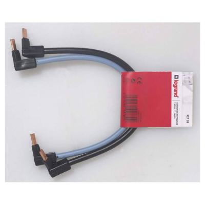  CORDON REPIQUAGE 10MM2 P+N 