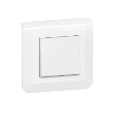  VV 10A CPL GRIFFE BLANC 