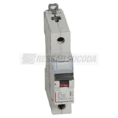  DX3 1P+NG C10 6000A/10KA 