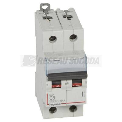  DX3 2P C8 6000A/10KA 