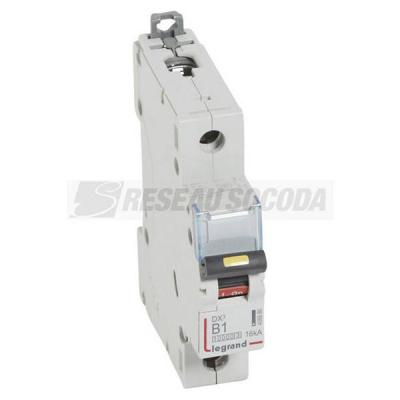  DX3 1P B1 10000A/16KA 