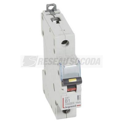  DX3 1P B1 10000A/16KA 