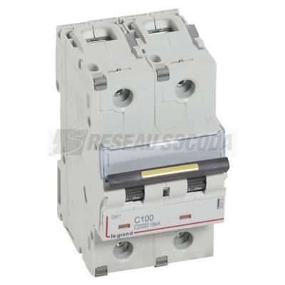  DX3 2P C100 10000A/16KA 