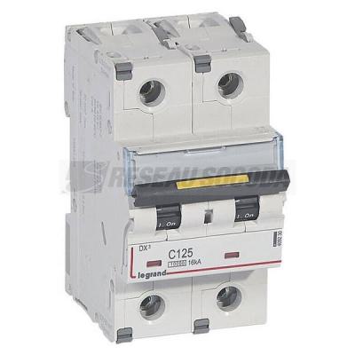  DX3 2P C125 10000A/16KA 