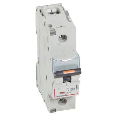  DX3 1P C100 25KA 